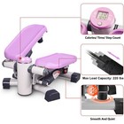Leikefitness Premium Portable Climber Stair Stepper   Waist Fitness Twister