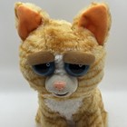 Princess Pottymouth Cat Feisty Pets Plush Stuffed Animal Orange Kitty 9  2017