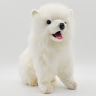 Samoyed Ken Dog Realistic Plush Doll 11 Inches Hansa Bh5267