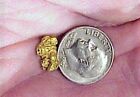 Pure Gold Nugget Alaska Yukon Bc Natural Small Rock Hand Picked Raw Fine 22k  4g