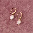 Freshwater Pearl Drop Earrings  Gold Dangle Jewelry  Gift For Her