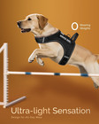 Service Dog Vest For Large Dogs - Air Mesh Breathble Emotional Support Animal Ve