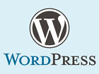 Wordpress Hosting     Blazing-fast  Unlimited Features     Only  1 99 year     Buy Now