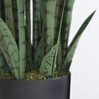 36    Faux Snake Plant  sansevieria  Plant In Black Pot For Indoor Outdoor Use