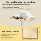 Salon Tray  Champagne Gold Salon Rolling Trays  Tattoo Service Trays Cart Wit   