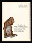 1920s Antique Bloodhound Print Poem Poetry Print Wessell Bloodhound Art 6134t