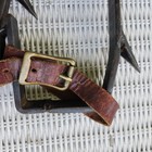 Tree Pole Climbers Climbing Gaffs Spikes 17 5    