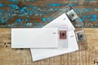  super Rare  Polymerbit Creative Bitcoin Crypto Cold Wallet Diy Note  mint    50