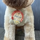 Vintage Mohair Steiff Mopsy Dog Germany With Buttons And Tags 5   