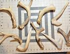 Three Pack Of Large Natural Deer Antler Dog Chews   big_buck_bites_llc  
