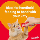 2 Pack Hartz Delectables Squeeze Up Variety Lickable Wet Cat Treats  54 Count