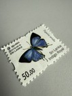 Sri Lanka 50 00 Stamp - Indigo Royal Butterfly Tajuria Arida Used
