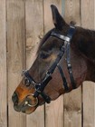 Bridle With   Without Teeth  Visual Highlight  Glitter Headband