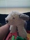 Jellycat Sheep Dog Plush