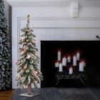 3 Ft  Pre-lit Snowy Downswept Forestree Tree With Clear Lights