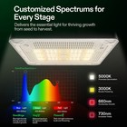 Vivosun Vgrow All-in-one Smart Grow Box Complete Grow Tent Kit For Hydroponics