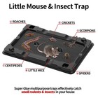 Lulucatch Mouse   Insect Traps 12 Pack  Heavier Sticky 12 Black 