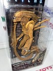 Neca  sewer Mutation Warrior Alien 7  Avp Action Figure Collectible Model Toy