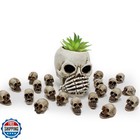 Binaryabc Mini Skull Figurine Miniature Skeleton Head Table Decor halloween M