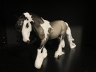 Peter Stone- Cthulhu Le-30 Cob- Glossy Grulla Paint