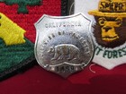 Obsolete California  Division Of Forestry Badge And 2 Patches 1945-1970