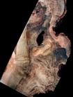 Xl Mind Blowing Spalted Birdseye Maple  Burl Wood Slab  Turning Wood Epoxy Wood 
