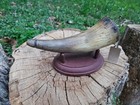 Antique Powder Horn 3