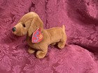 Ty 2 0 Beanie Baby Frank The Dog W online Code Still Sealed  2009 Complete Tags