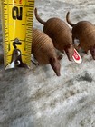 Schleich Armadillo Figurines Set Of 4 New Germany