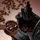 Old-fashioned Manual Coffee Grinder  ferris Wheel Model  - Retro Style