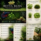 Betta Bliss Luxe Plant Pack Spangles  Guppy Grass  Java Moss  Pennywort  Frogbit