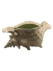 Vintage Atlantic Mold Ceramic Conch Sea Shell Planter Vase Beach Large Decor
