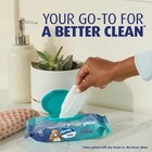 Charmin Flushable Wipes  480 Total Wipes  12 Packs Of 40 