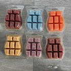 Scentsy Wax Bars Melts Lot 6 Scents Of The Seasons Collection New Winter Fall