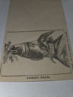 1860s Civil War Postal Cover Jefferson Davis In 2 Poses Optical Illusion