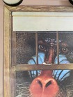 Baboon Poster Vintage Headshop Original Monkey In The Window 1970s Joke Comedy