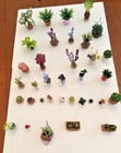 Dollhouse Miniature Plants - Choice Of 1 - All Scales - 36 To Choose From