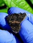 Meteorite  nwa 14741  Lunar Mare Basalt Breccia  3 861 Grams  Rarest Lunar Ever 