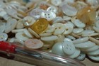 Vintage White Shell Buttons Mother Of Pearl Plastic Bone Huge Lot Of 0ver 800