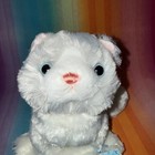 Ganz Webkinz Ragdoll Cat Hm871   -new Plush Stuffed Animal       sealed Unused Code 