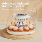 12 Egg Incubator   Automatic Egg Turner   Temp   Humidity Control   Hatcher For 