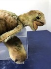 14    Long Steiff Vintage 1960   s Slo Turtle German Green Mohair  si