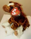 Ty Beanie Baby Hoofer The Clydesdale Horse 6  New Mwmts Plush Stuffed Animal Toy