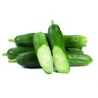 15 cucumber Seeds Long Garden Sweet Slice Burpless Hybrid Cucumber Usa