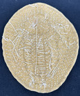 Native Beaded Patch Bear Paw Medallion Patch Applique Glass Beads 4 25 