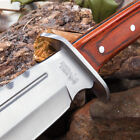 Ridge Runner Brimstone Canyon Machete   Fixed Blade Knife   Nylon Sheath   17 