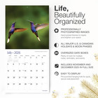 Hummingbirds 2026 Wall Calendar 12 Month   12  X 24  Open   Thick   Sturdy Paper