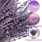 3 5oz Dried Lavender Bundle     230  Real French Lavender Stems With Purple
