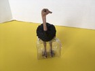 Schleich 14744 Ostrich Retired Wild Life