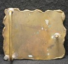 Xa15118 Very Cool Vintage 1970s     beetle     Insect Artwork Unisex Belt Buckle